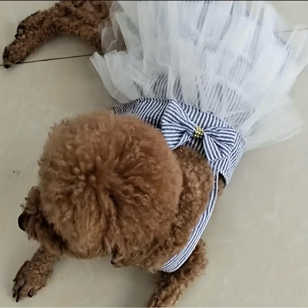 Pet blue and white stripes dress with white tutu bow skirt xtra small size - Picture 4 of 5